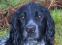 yquem59's Avatar avatar